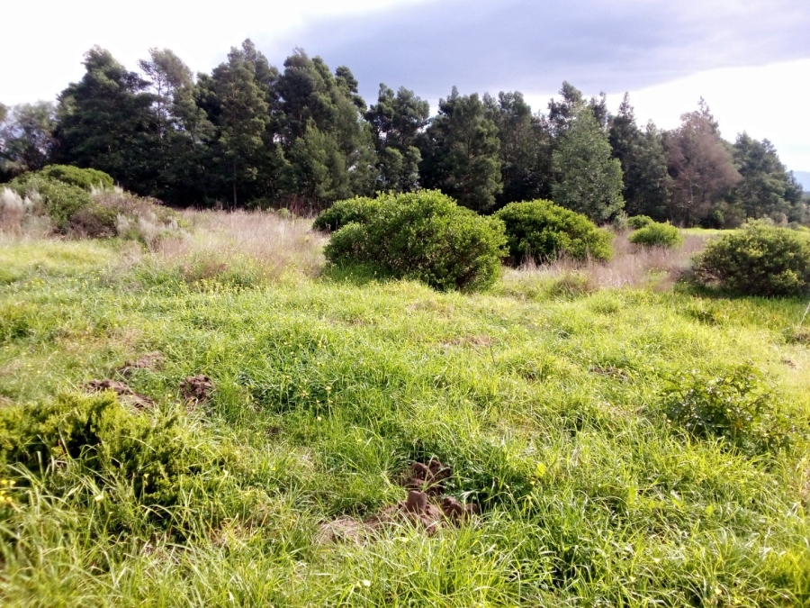  Bedroom Property for Sale in Albertinia Western Cape